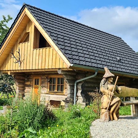 布劳恩拉格Blockhaus Panhuette别墅 外观 照片