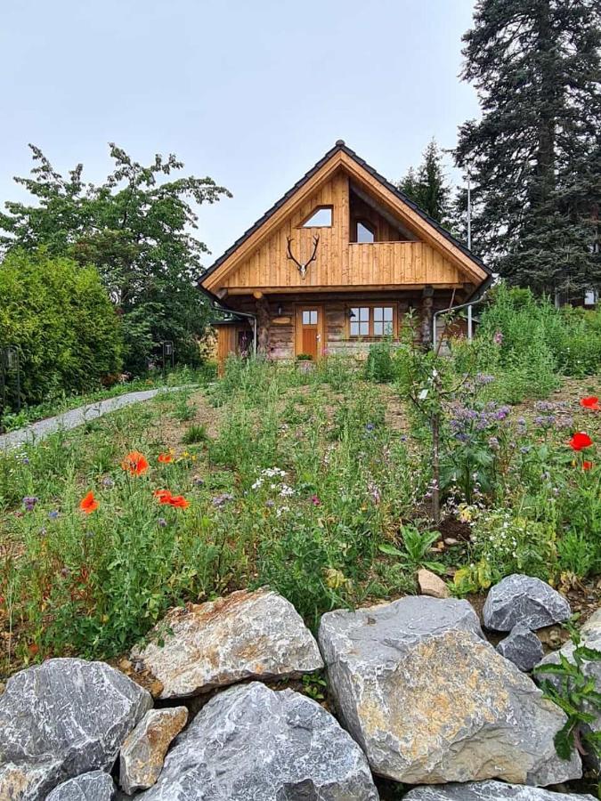 布劳恩拉格Blockhaus Panhuette别墅 外观 照片